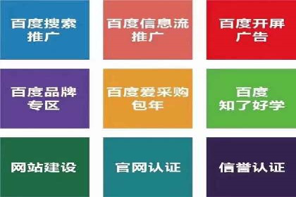 成功之道：竞价推广公司经典案例分析